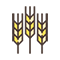 home-icon01.png